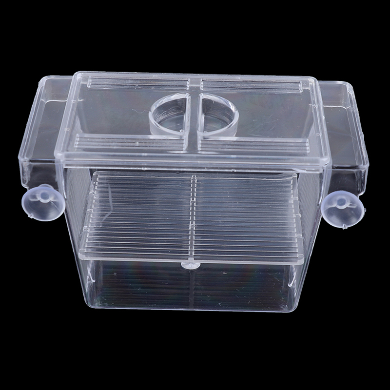 Aquarium Fish Eggs - Aquarium Fish Tank Guppy Double Breeding