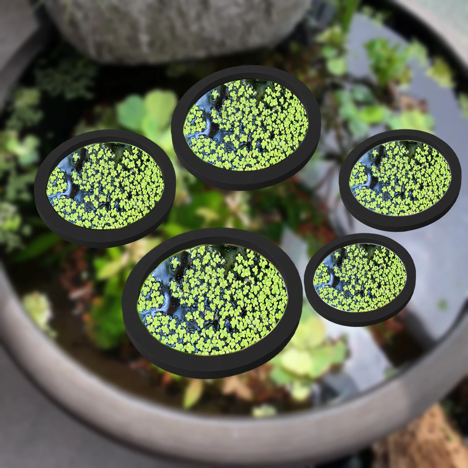 Aquarium Fish Pond - 5Pcs EVA Fish Feeding Ring Aquarium
