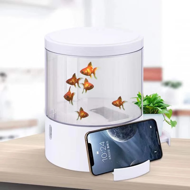 Round colorful lights desktop  - Aquarium Fish Goldfish recension och pris