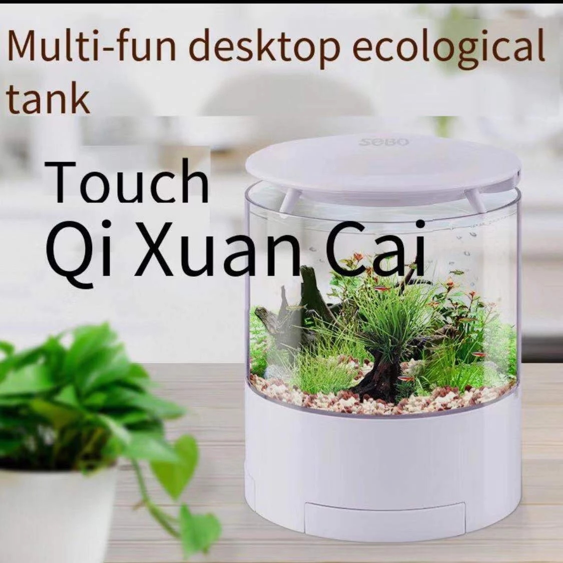 Round colorful lights desktop  - Aquarium Fish Goldfish recension och pris