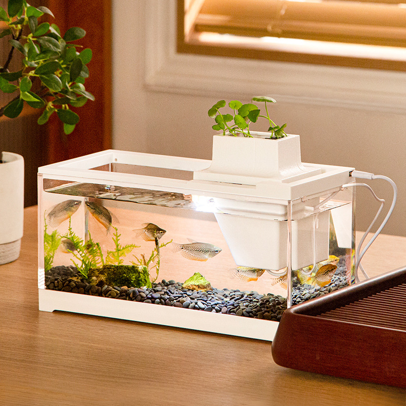 Fish Tank Aquarium Kits with W - Aquarium Fish Goldfish recension och pris