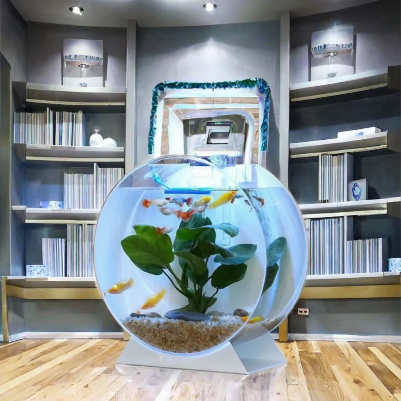 Hot Sale Modern Eco-Friendly A - Aquarium Fish For Sale recension och pris