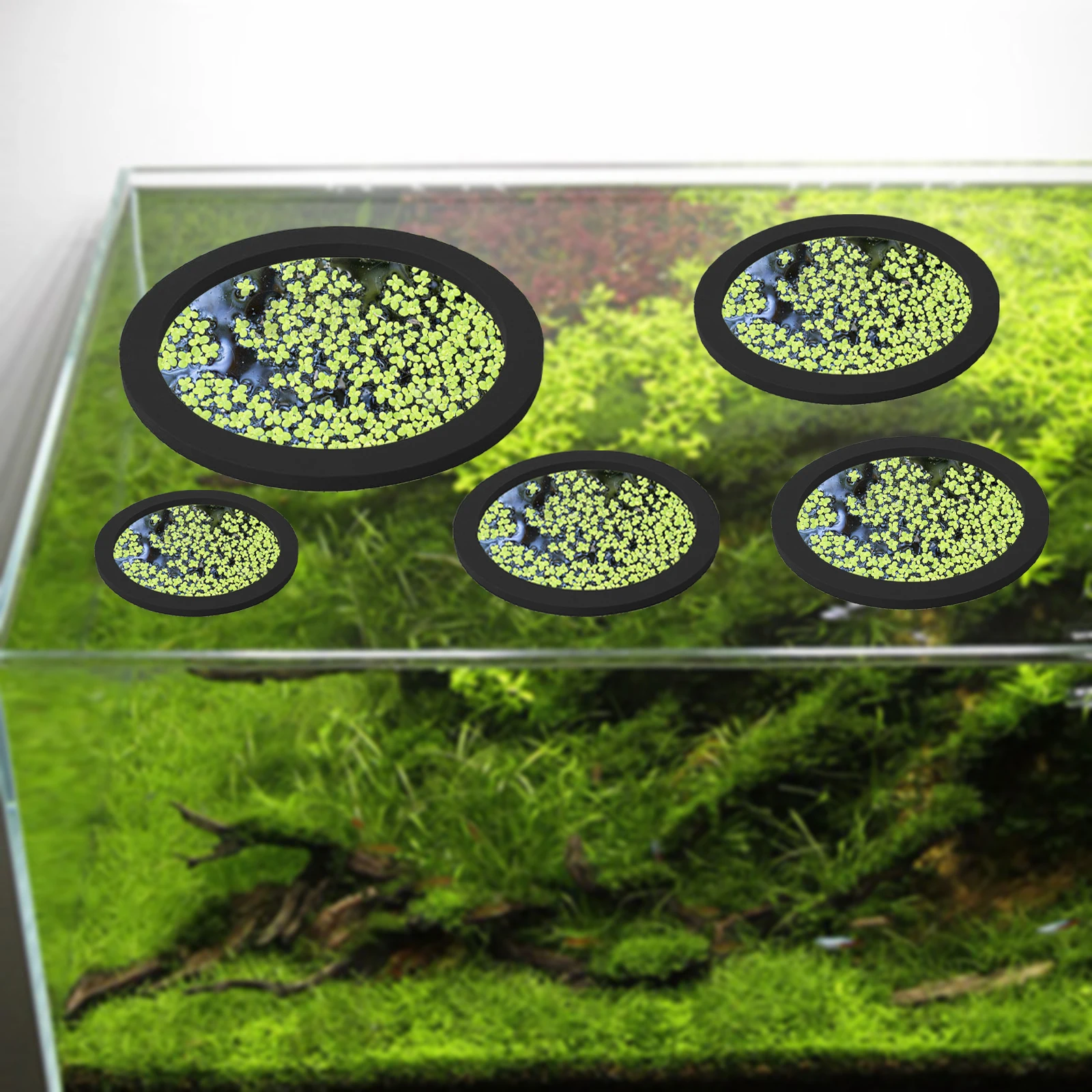 5Pcs EVA Fish Feeding Ring Aqu - Aquarium Fish Pond recension och pris
