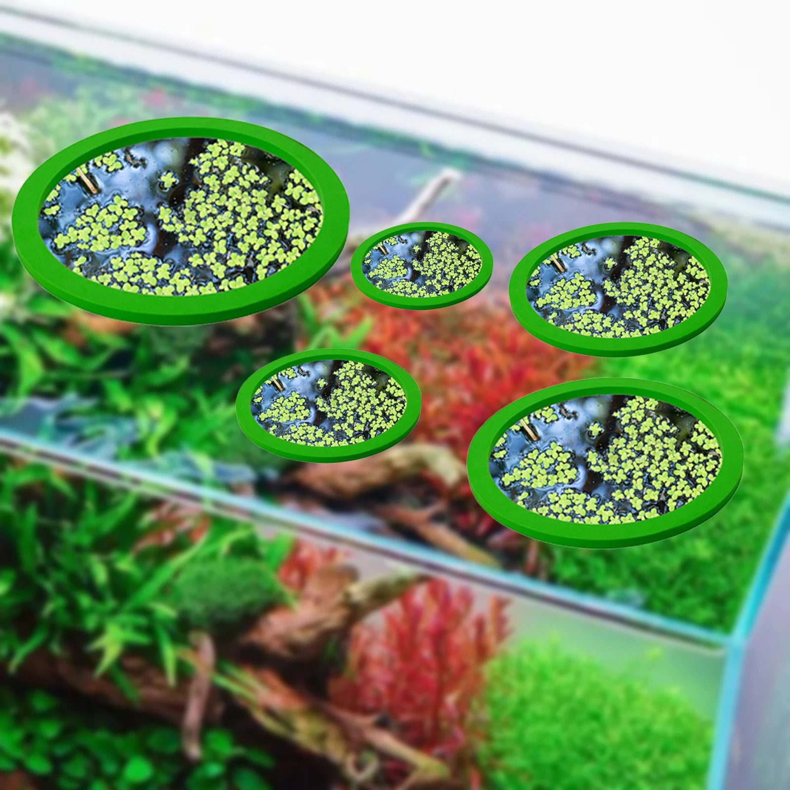 5Pcs EVA Fish Feeding Ring Aqu - Aquarium Fish Pond recension och pris