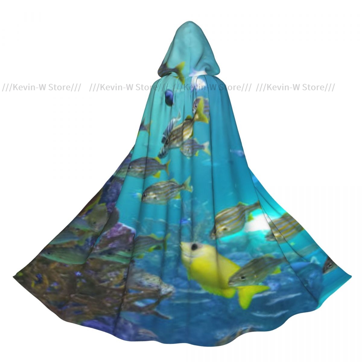 Fish Inside Aquarium Hooded Cl - Aquarium Queen Fish recension och pris
