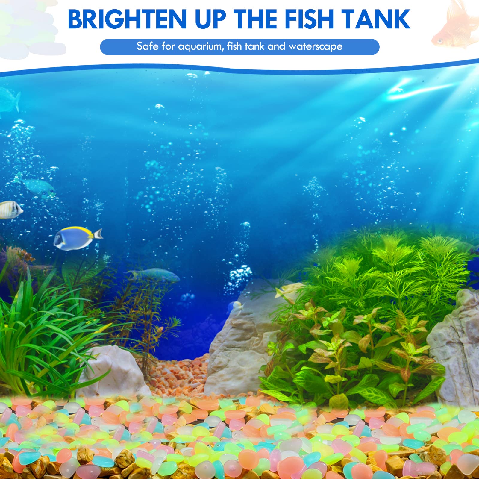 100Pcs Glow in the Dark Garden - Aquarium Fish Store recension och pris