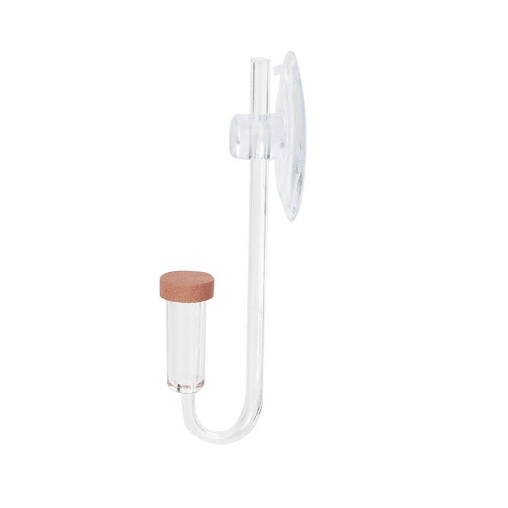 Acrylic Mini Fish Tank Live Pl - Aquarium Fish Store recension och pris