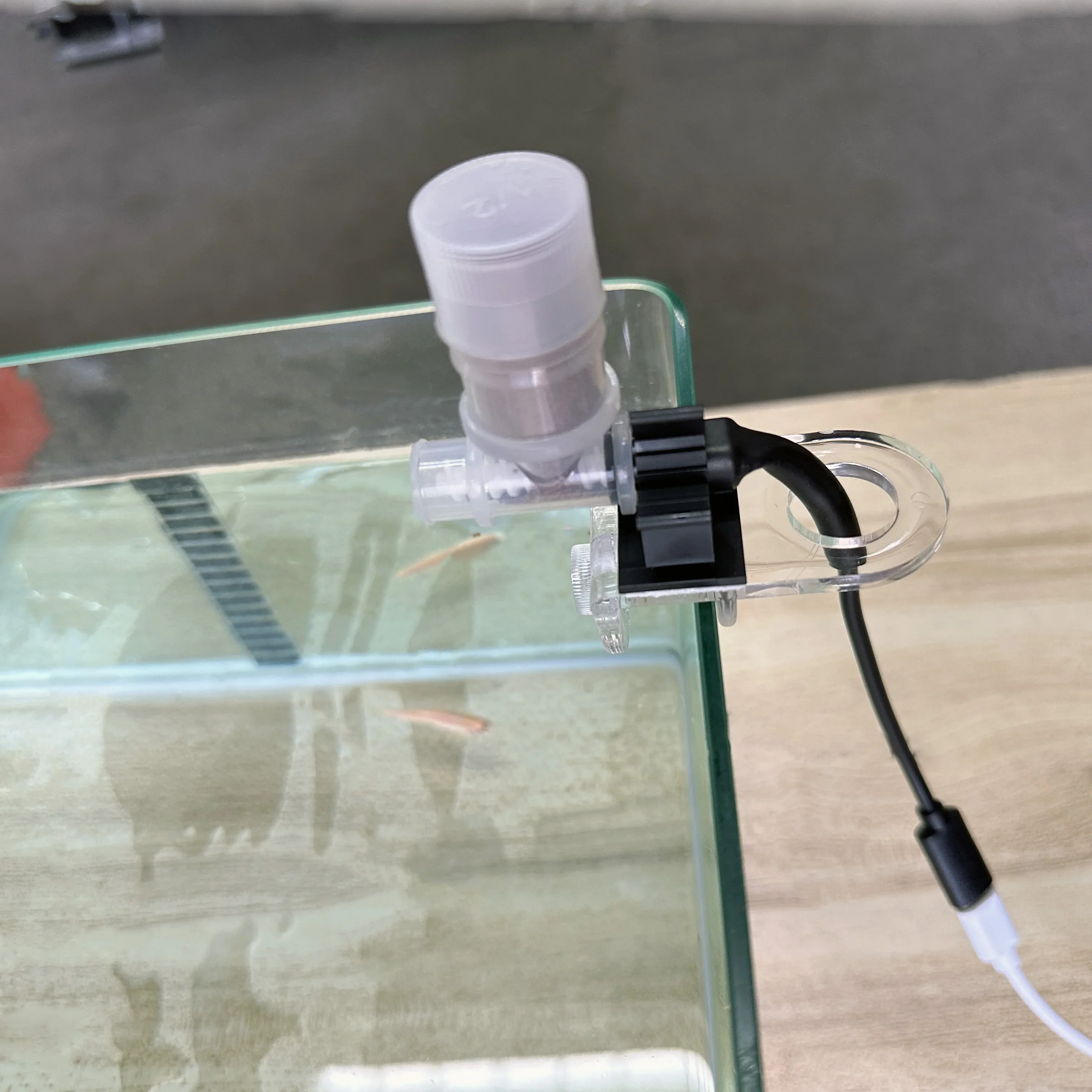 Best Automatic Fish Feeder - W - Aquarium Fish Eggs recension och pris