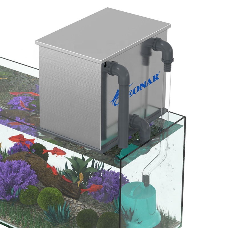 Factory Direct Sales Aquarium  - Aquarium Fish For Sale recension och pris
